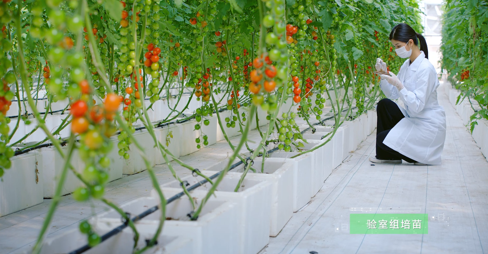 luck18xinli(�й���)-�ٷ���վ