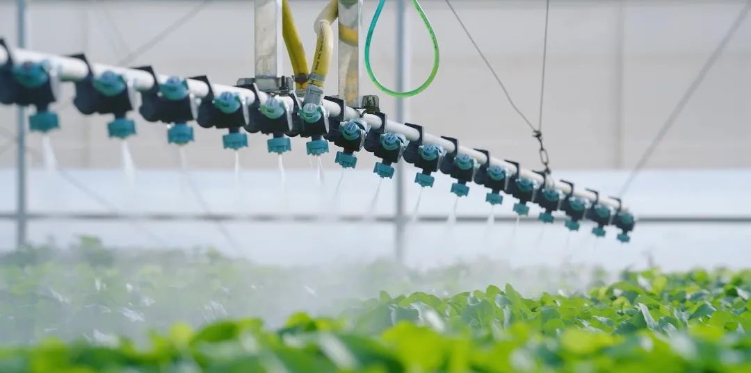 luck18xinli(�й���)-�ٷ���վ