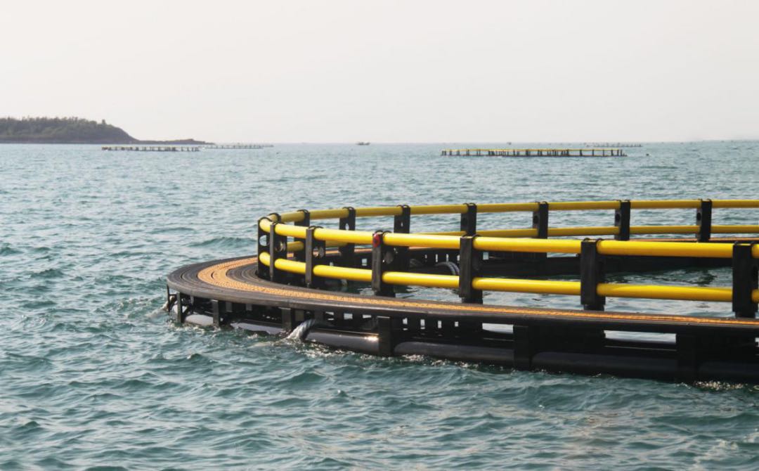 luck18xinli(�й���)-�ٷ���վ